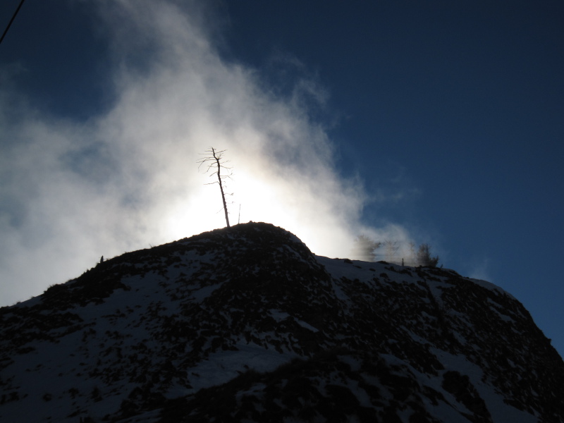 [Albero sul Monte Generoso]