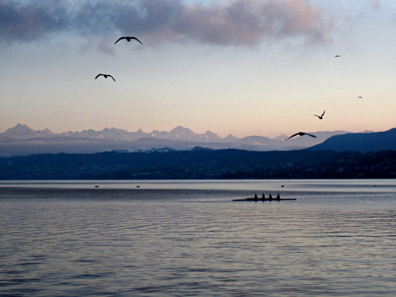 [Vista del Lago di Zurigo al tramonto.]
