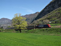 [Locomotiva Re 484 delle Ferrovie Federali Svizzere in testa a un treno EuroCity Zurigo-Milano]