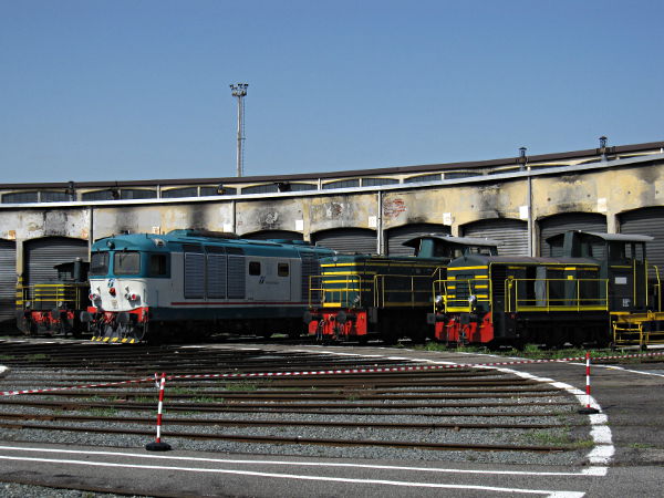 [Rotonda
Trazione Diesel (TD) del deposito di Torino Smistamento durante il
porte aperte del 25 aprile 2013.  Da sinistra a destra si vedono:
automotore Diesel da manovra 214.4122, locomotiva Diesel-elettrica da
treno D445.1113, automotori da manovra Badoni 245.1017 e 245.0052]