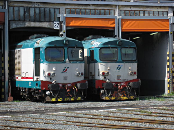 [Locomotive
diesel elettriche da Treno FS D445.1077 e D445.1082 in sosta sulla
rotonda TD del deposito di Torino Smistamento (25 aprile 2013)]